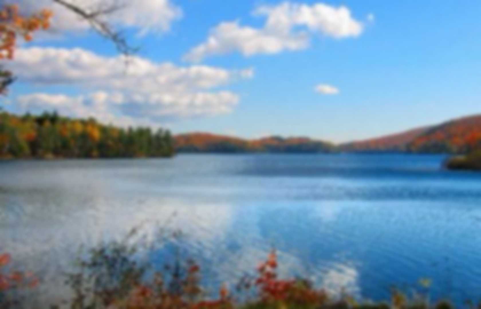 water biomes essay water biomes essay