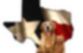 background preloader