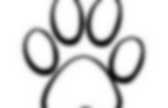 background preloader