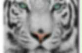 background preloader