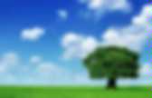 background preloader