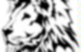 background preloader