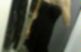 background preloader