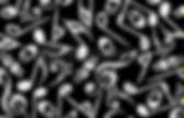 background preloader