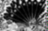 background preloader