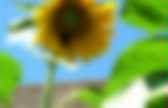 background preloader