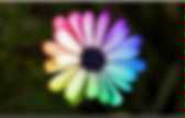 background preloader