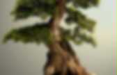 background preloader