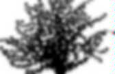 background preloader
