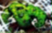 background preloader