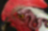 background preloader
