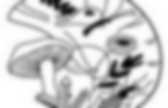 background preloader