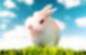background preloader