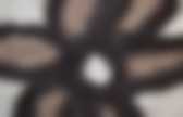 background preloader