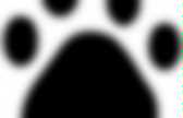 background preloader
