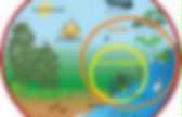 background preloader