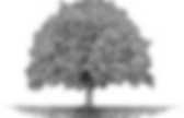 background preloader