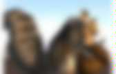 background preloader