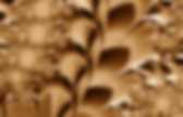 background preloader