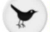 background preloader
