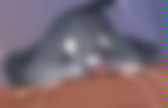 background preloader