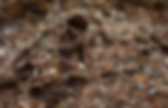 background preloader
