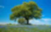 background preloader
